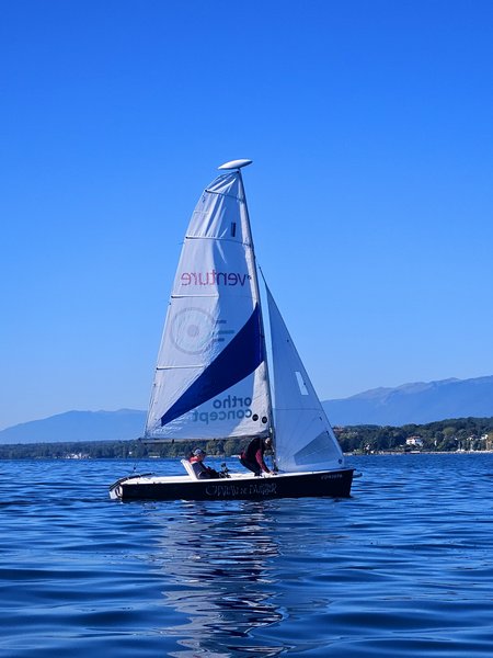 Voile